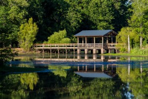 Brick Pond Park   North Augusta 4771